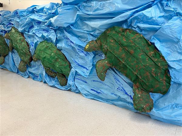 Turtles